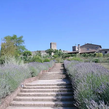 Apartment Edera